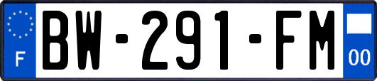 BW-291-FM