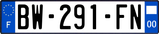 BW-291-FN