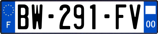 BW-291-FV