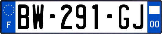 BW-291-GJ