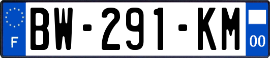 BW-291-KM