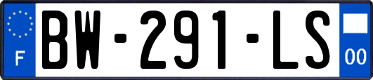 BW-291-LS