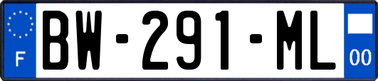 BW-291-ML