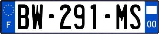 BW-291-MS