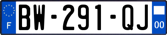 BW-291-QJ