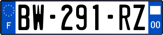 BW-291-RZ
