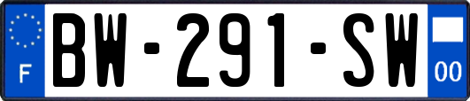 BW-291-SW