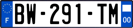 BW-291-TM