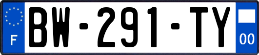 BW-291-TY