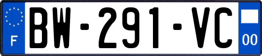 BW-291-VC