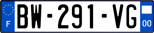 BW-291-VG