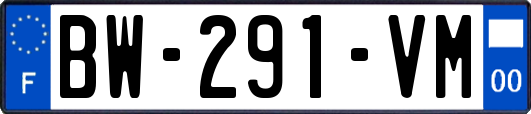 BW-291-VM