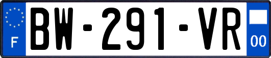 BW-291-VR
