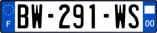 BW-291-WS