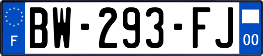 BW-293-FJ