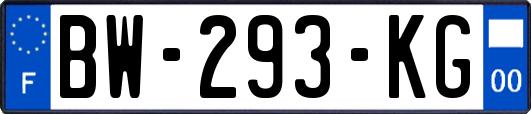 BW-293-KG