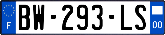 BW-293-LS