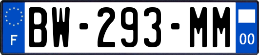 BW-293-MM