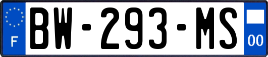 BW-293-MS