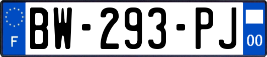 BW-293-PJ