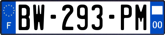 BW-293-PM