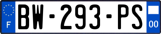 BW-293-PS