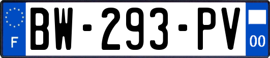BW-293-PV