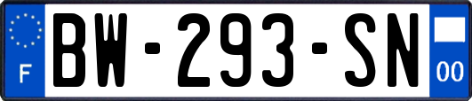 BW-293-SN