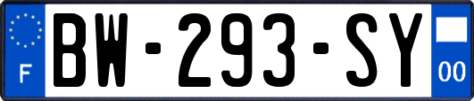 BW-293-SY