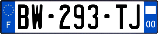 BW-293-TJ