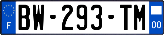 BW-293-TM