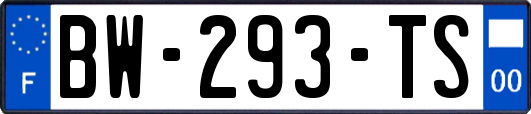BW-293-TS
