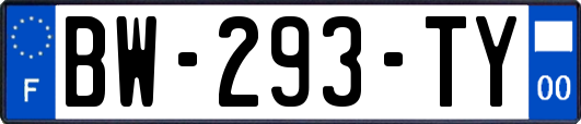 BW-293-TY