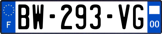 BW-293-VG