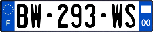 BW-293-WS