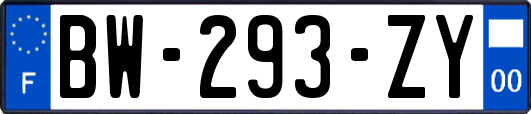 BW-293-ZY
