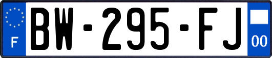 BW-295-FJ