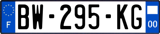 BW-295-KG
