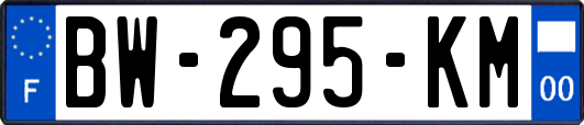 BW-295-KM
