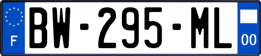 BW-295-ML
