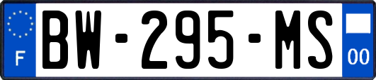BW-295-MS