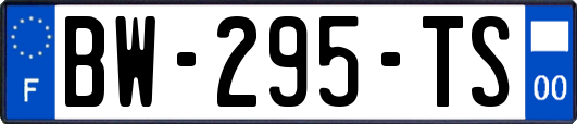 BW-295-TS