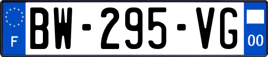 BW-295-VG