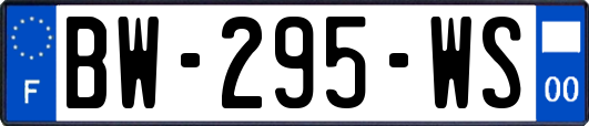 BW-295-WS