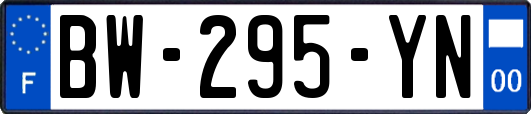 BW-295-YN