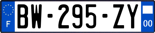 BW-295-ZY