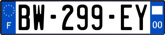 BW-299-EY