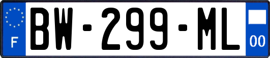 BW-299-ML