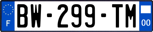 BW-299-TM