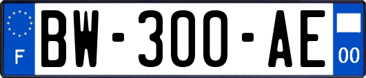 BW-300-AE